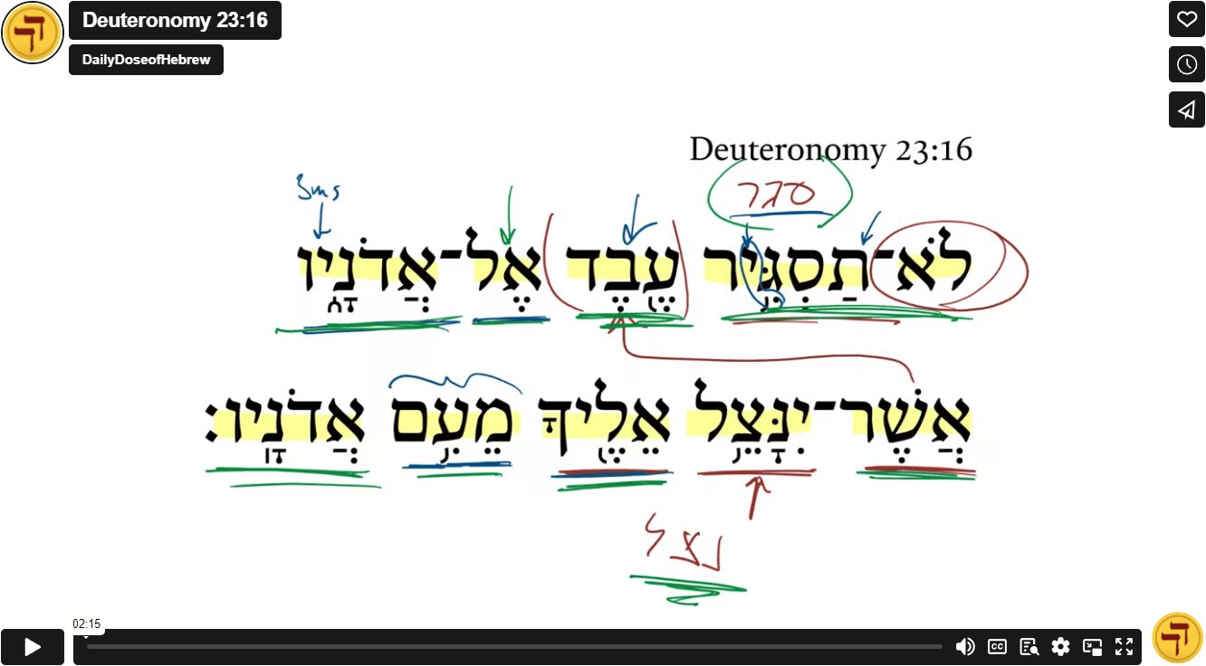 Deuteronomy 23:16