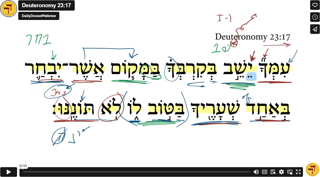 Deuteronomy 23:17