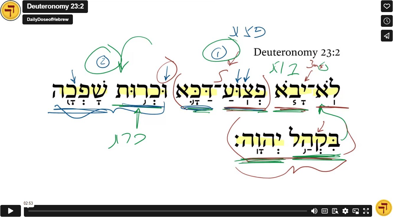 Deuteronomy 23:2