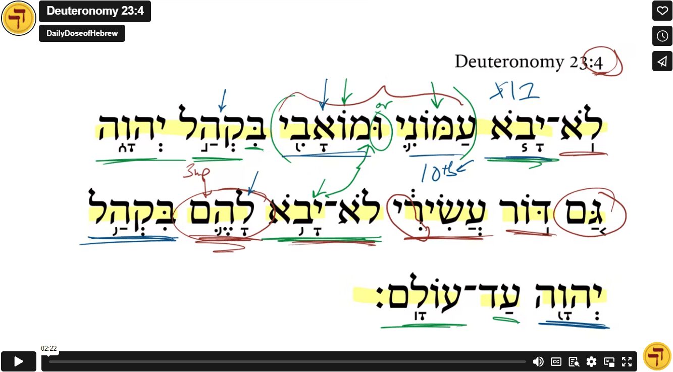 Deuteronomy 23:4