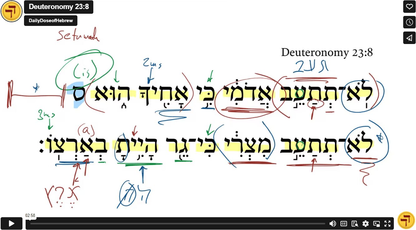 Deuteronomy 23:8
