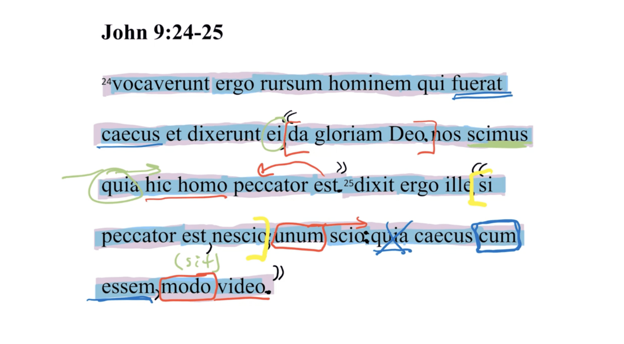 John 9:24-25 Latin Vulgate