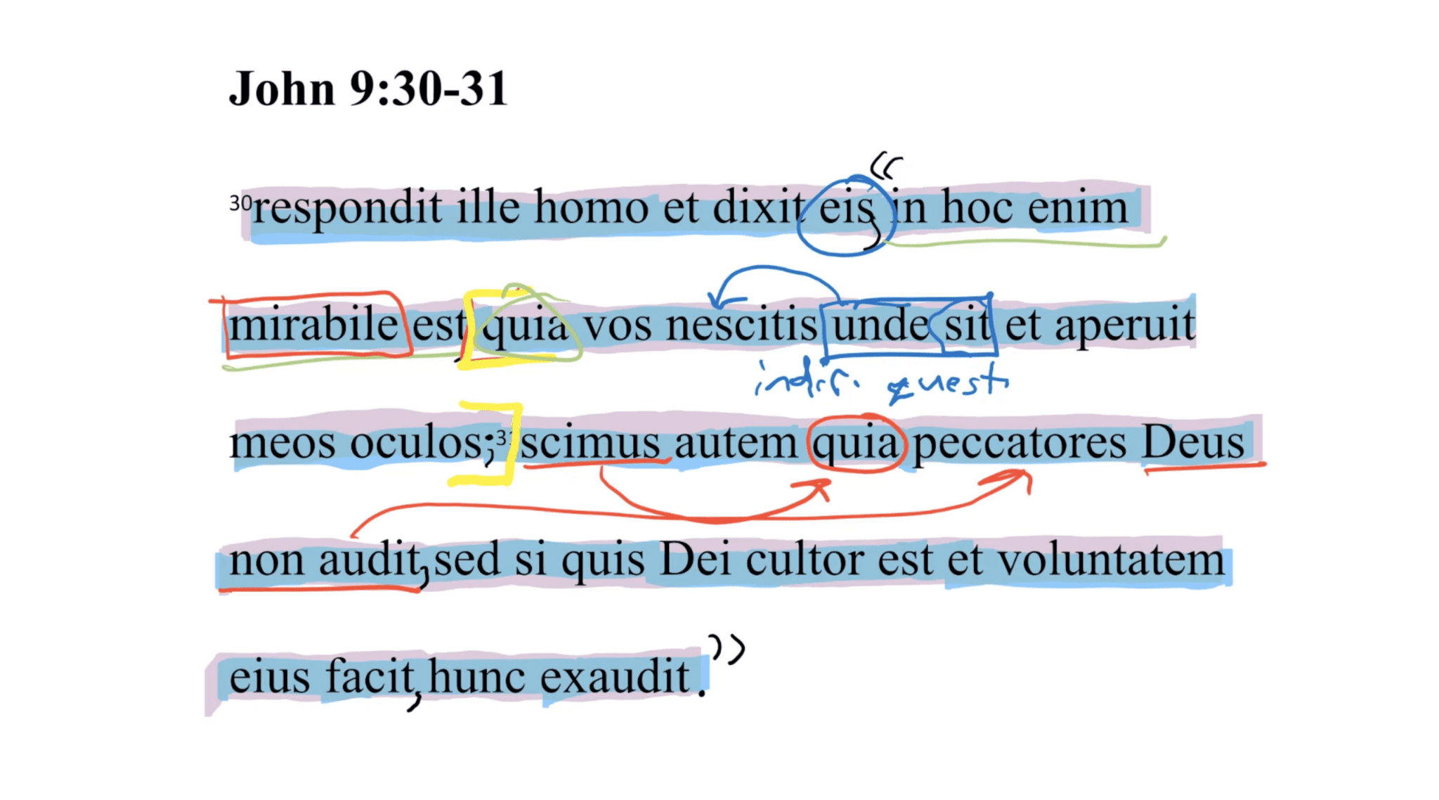 John 9:30-31 Latin Vulgate