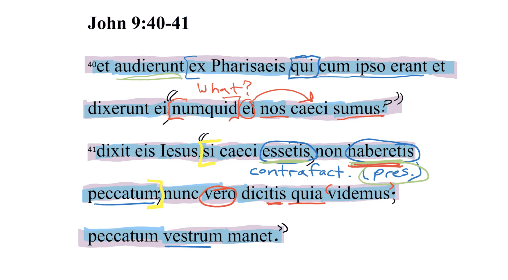 John 9:40-41 Latin Vulgate
