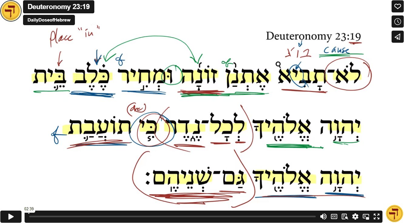 Deuteronomy 23:19