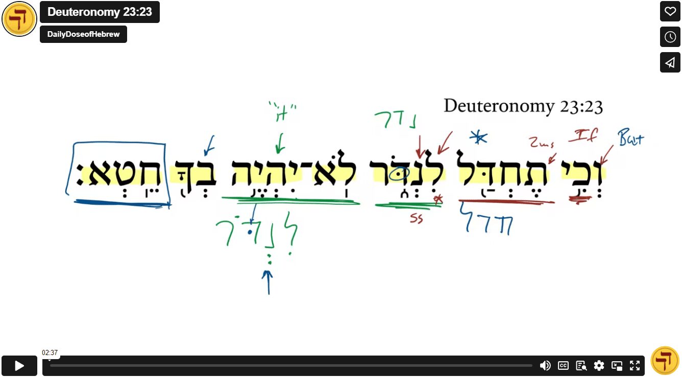 Deuteronomy 23:23