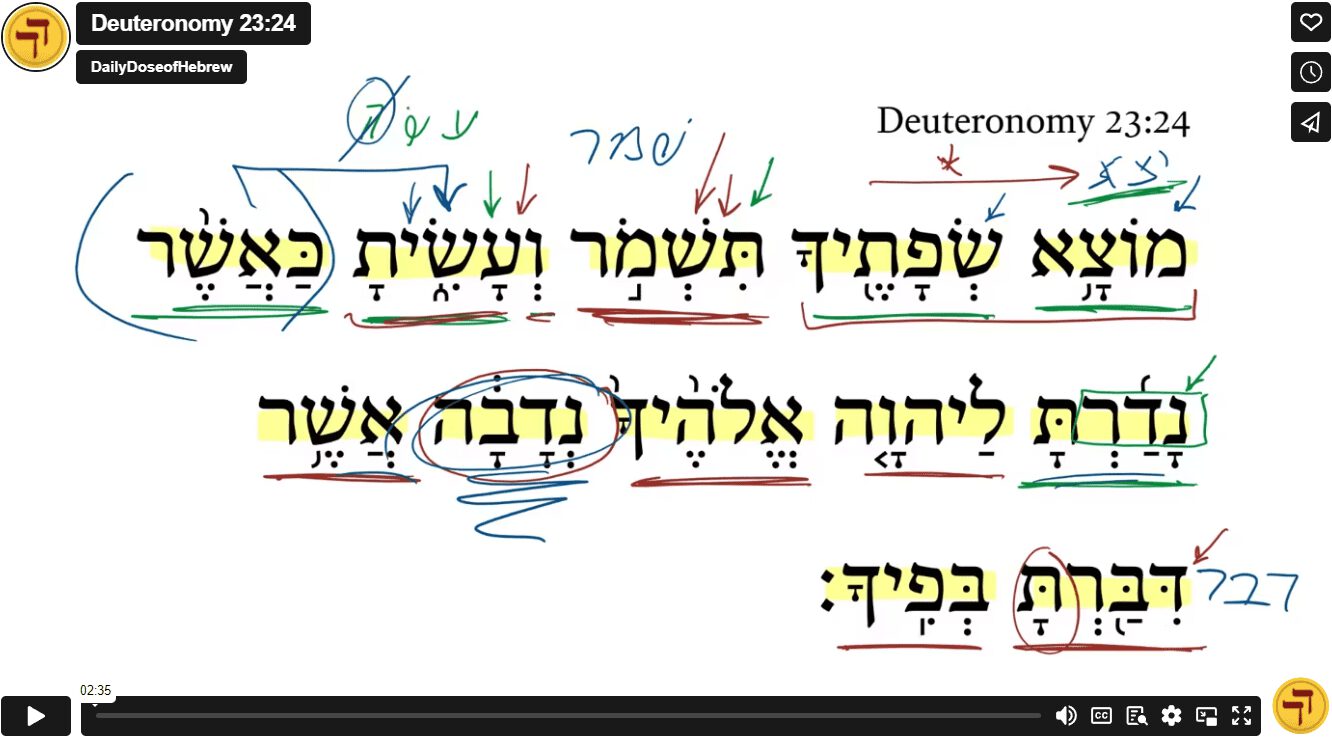 Deuteronomy 23:24