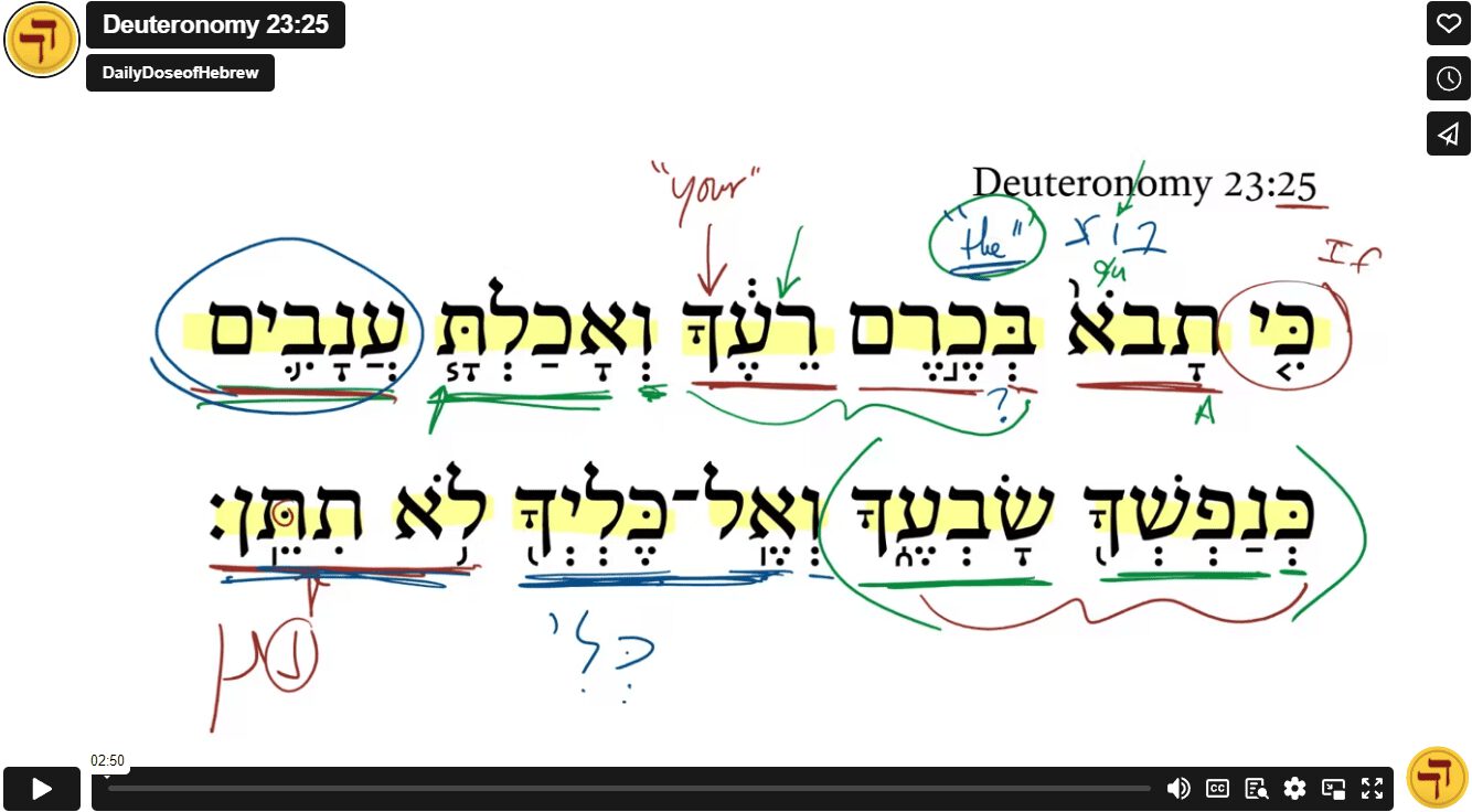 Deuteronomy 23:25