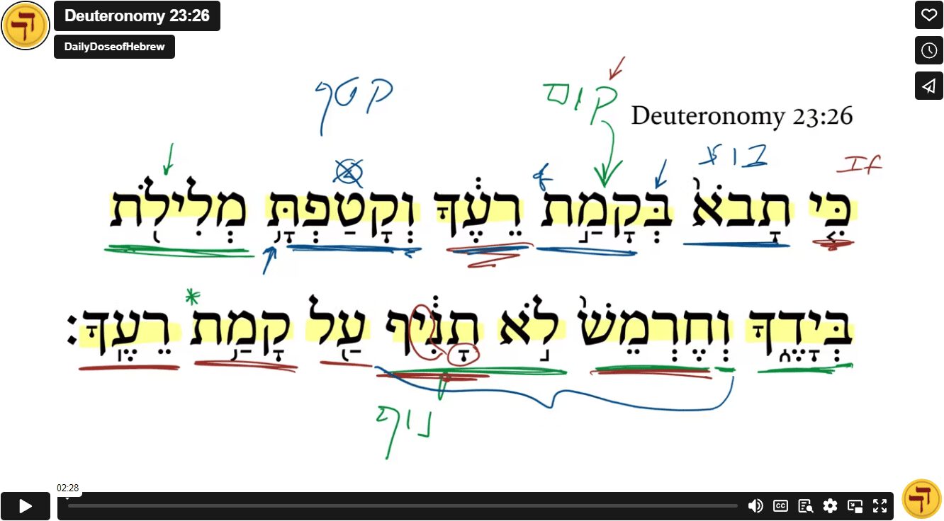 Deuteronomy 23:26