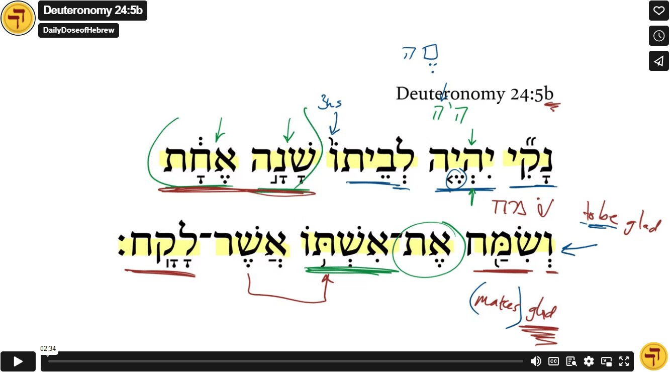 Deuteronomy 24:5b