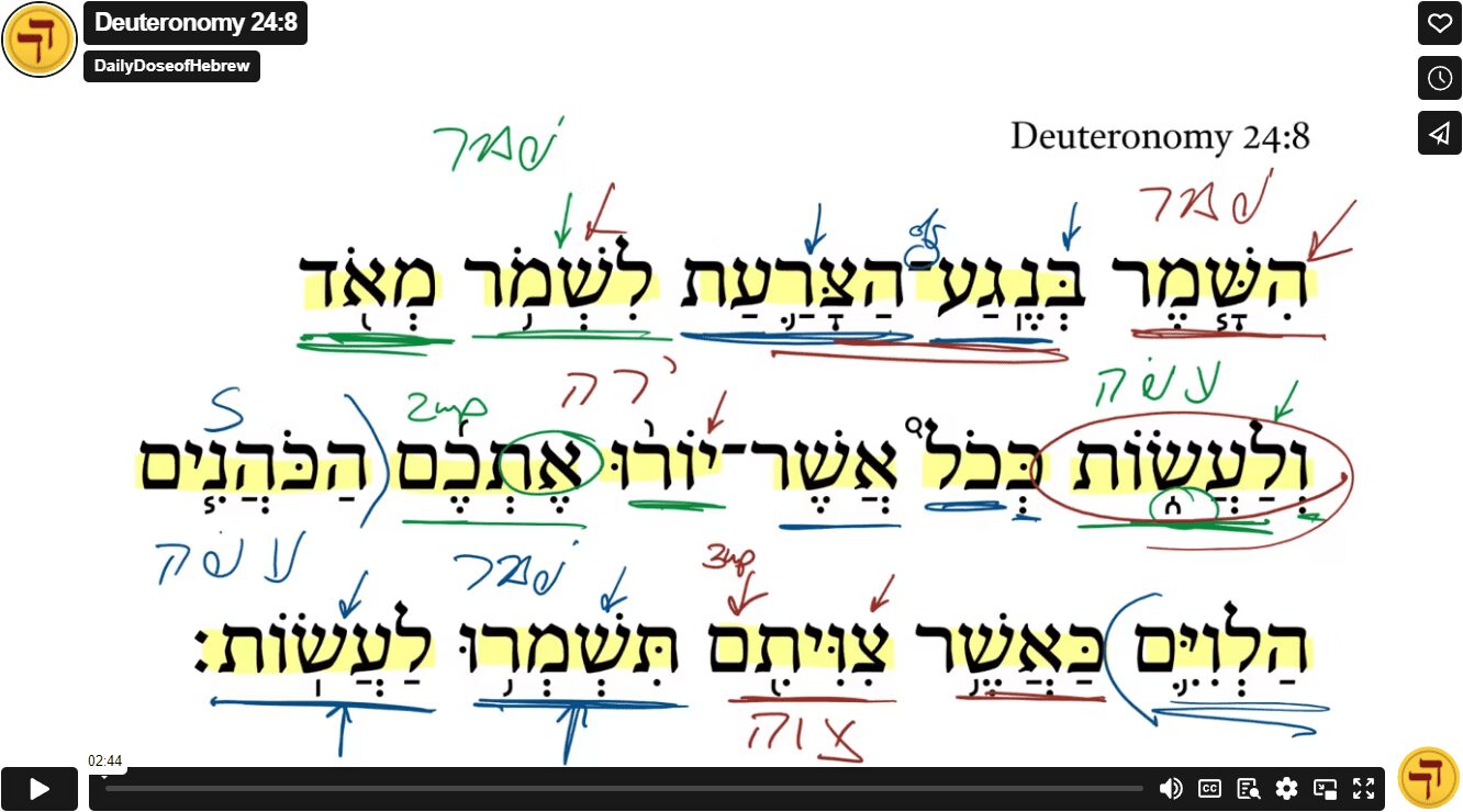 Deuteronomy 24:8