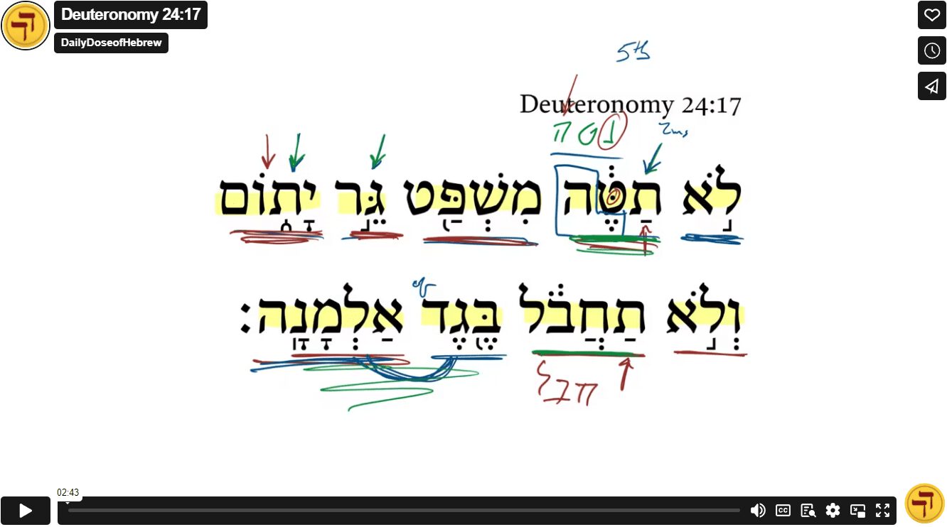 Deuteronomy 24:17