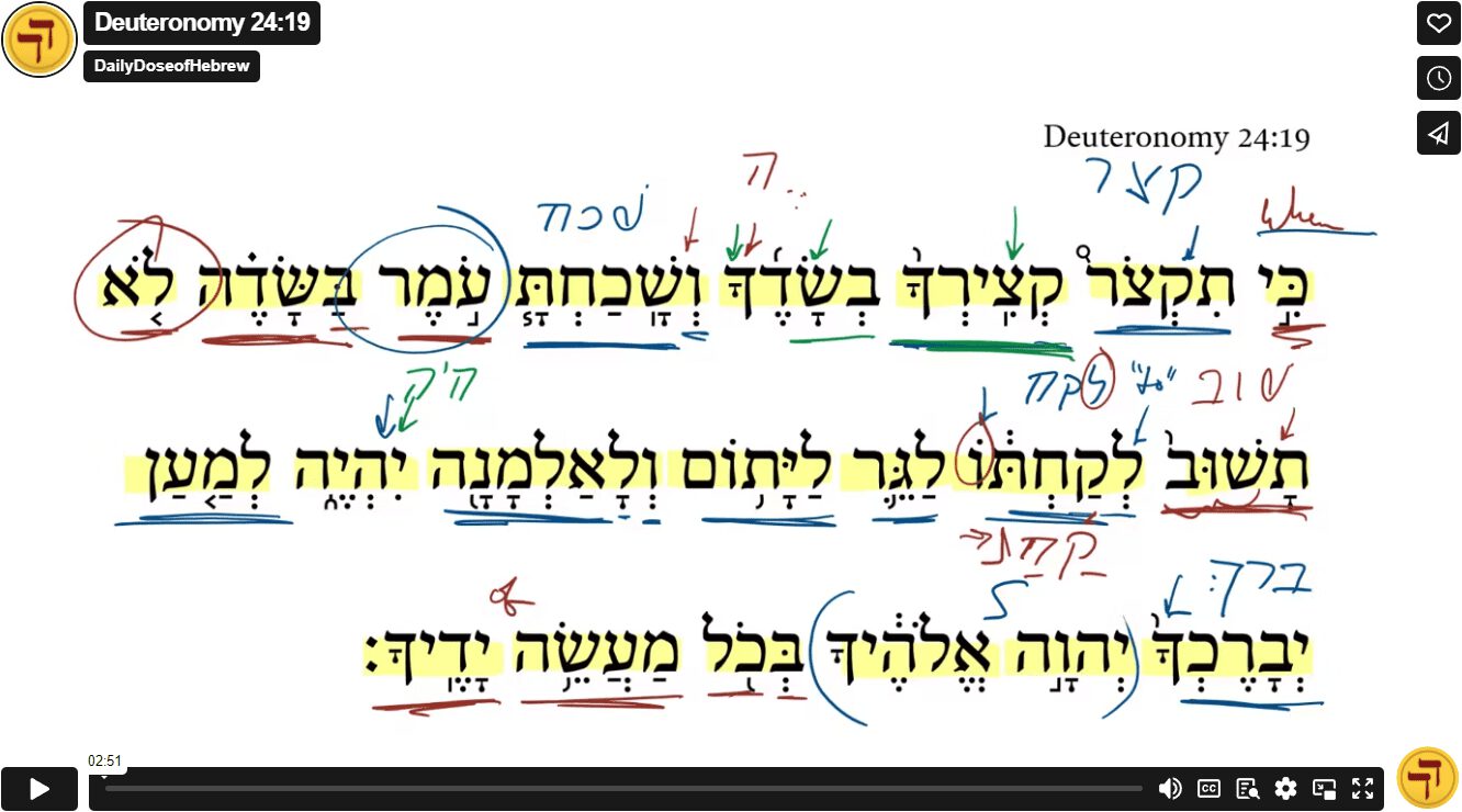 Deuteronomy 24:19