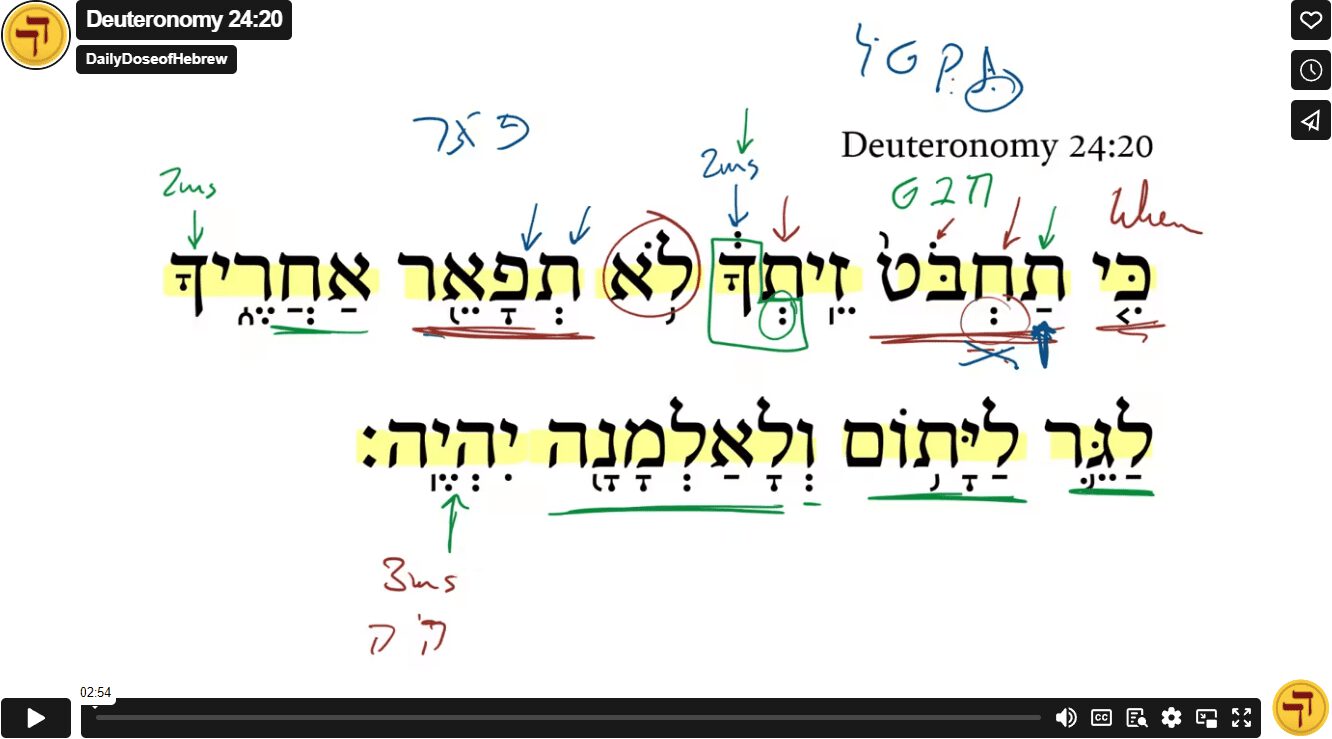 Deuteronomy 24:20