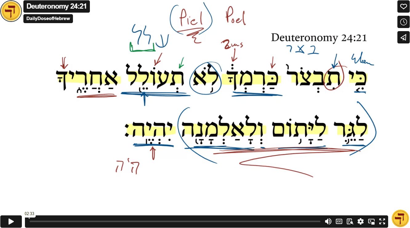 Deuteronomy 24:21