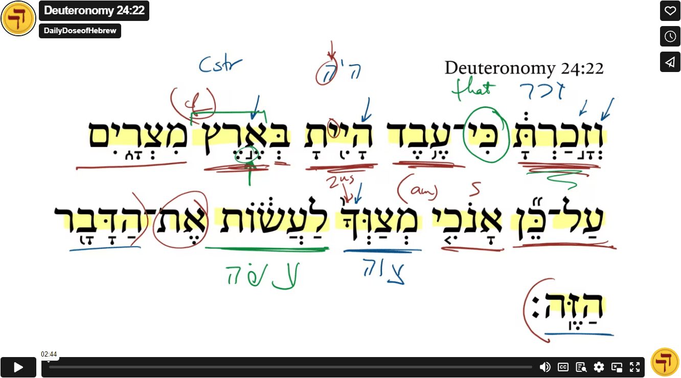 Deuteronomy 24:22