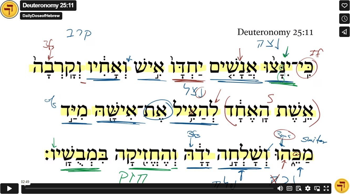 Deuteronomy 25:11