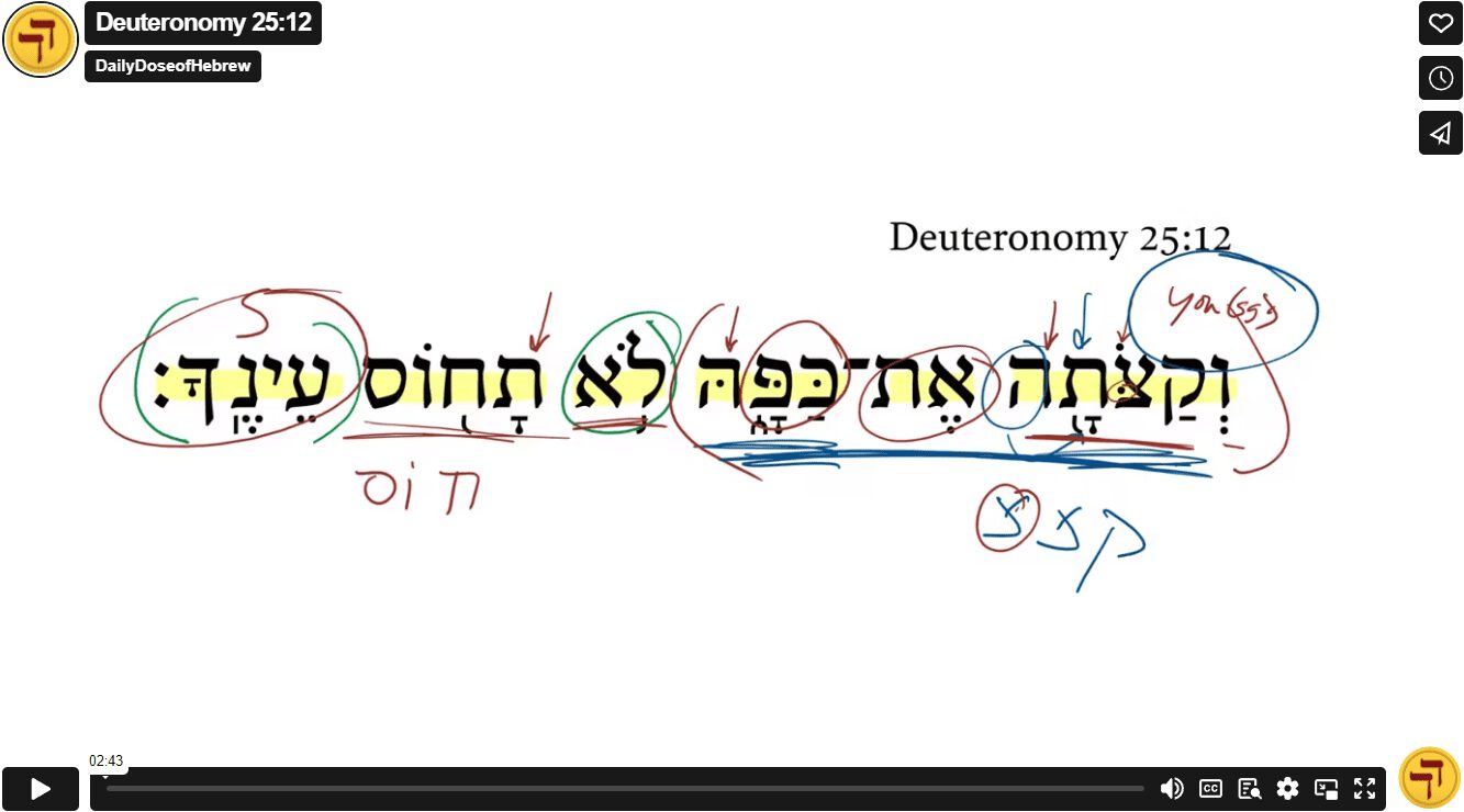 Deuteronomy 25:12