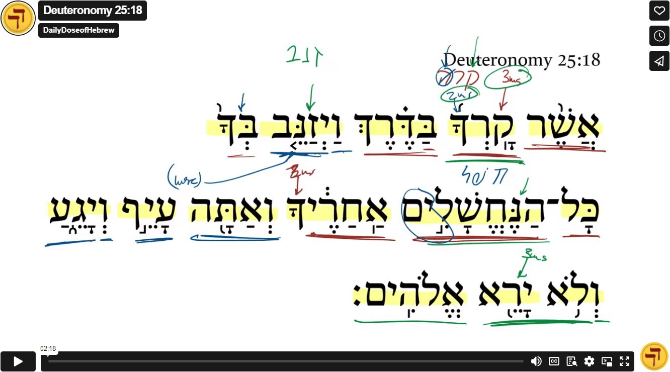 Deuteronomy 25:18