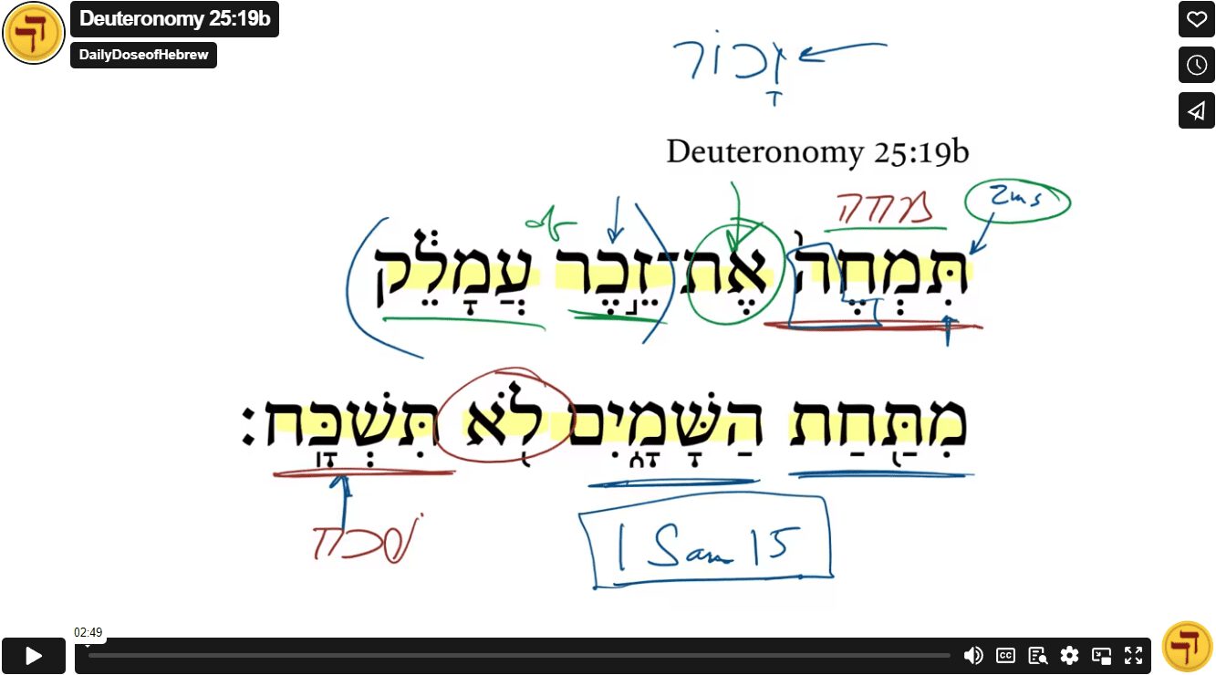 Deuteronomy 25:19b