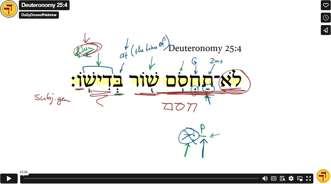 Deuteronomy 25:4