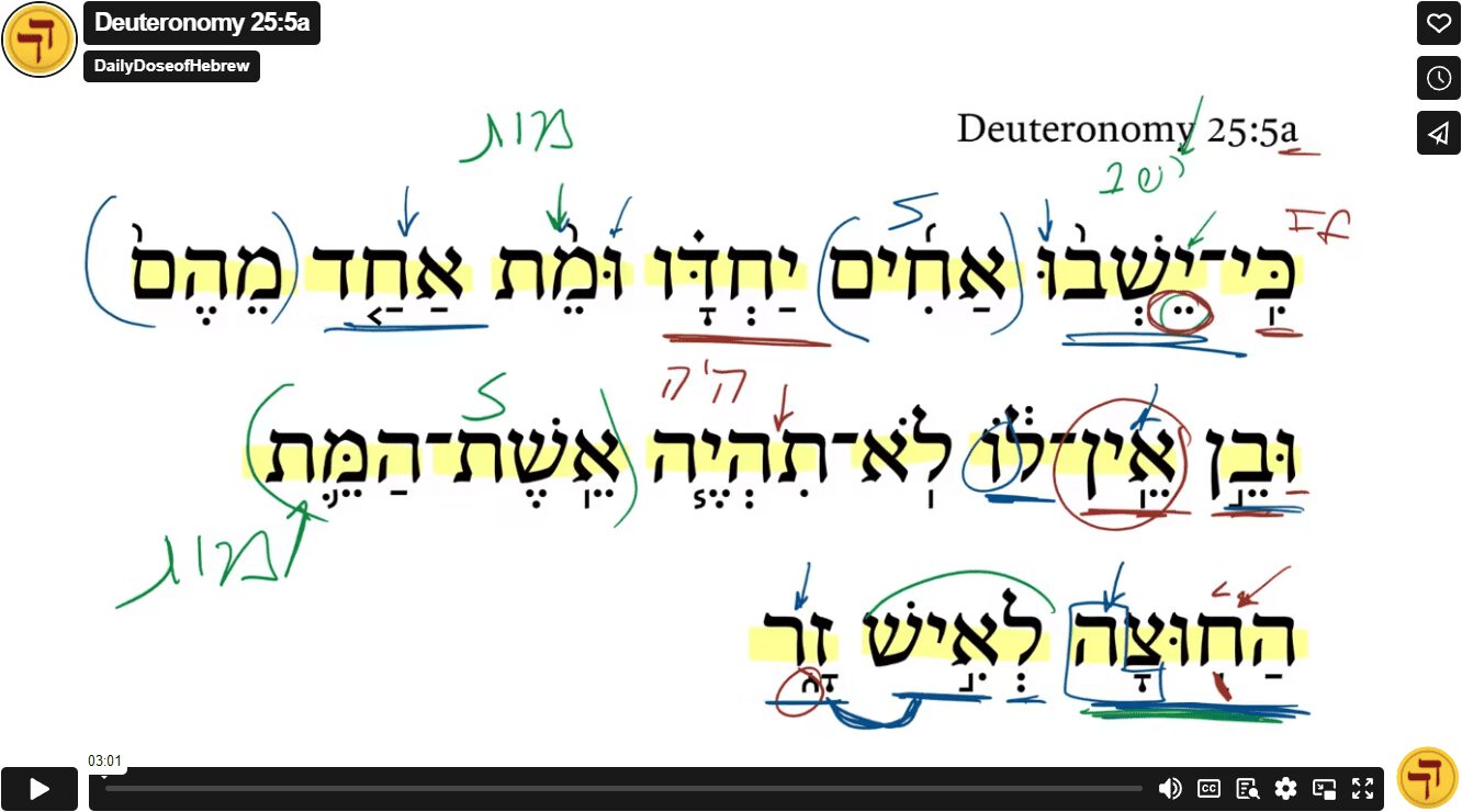 Deuteronomy 25:5a