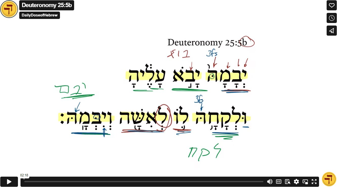 Deuteronomy 25:5b