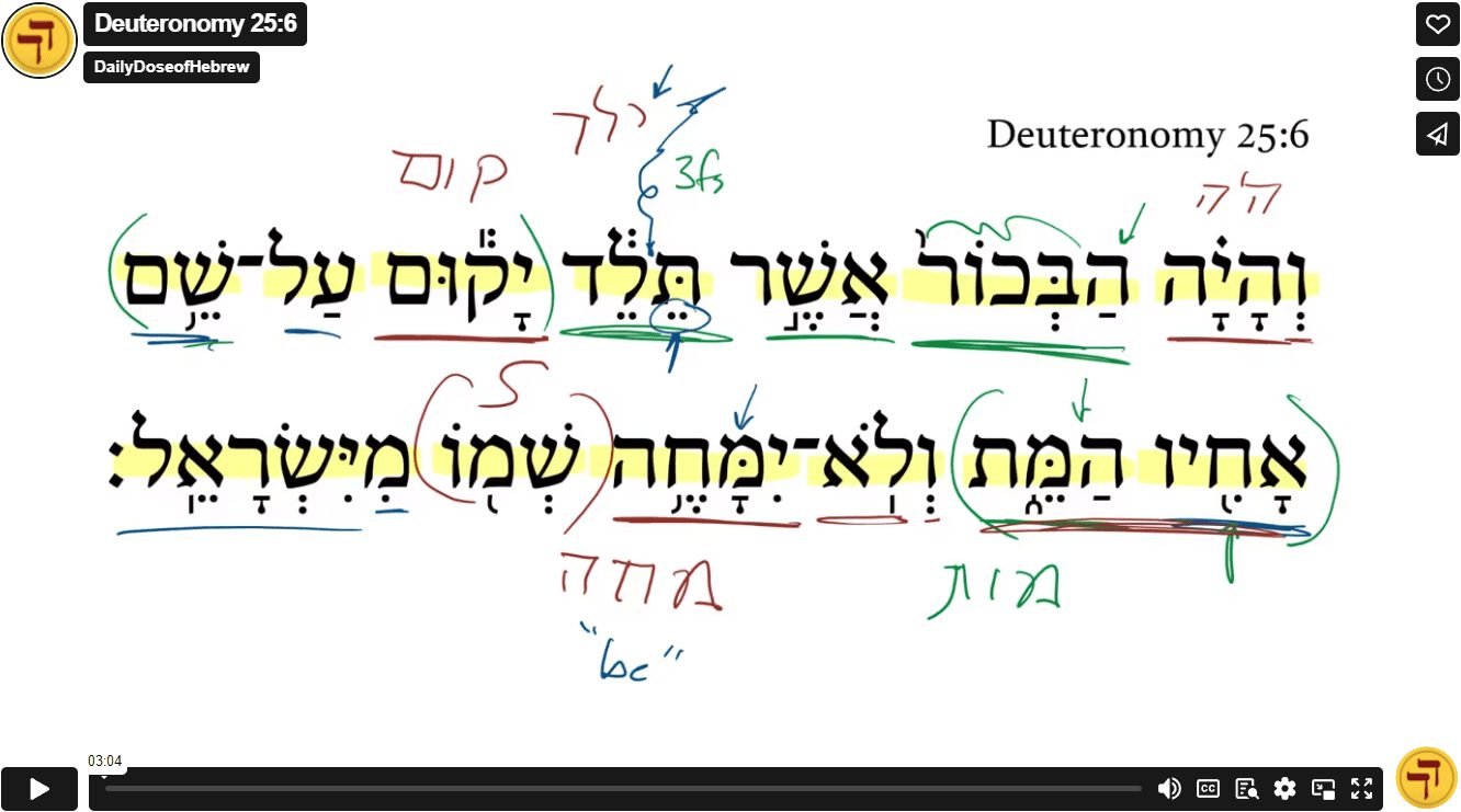 Deuteronomy 25:6