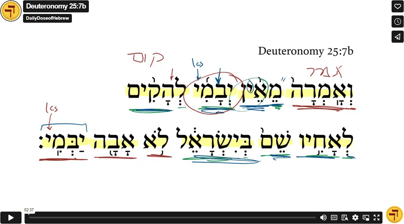 Deuteronomy 25:7b