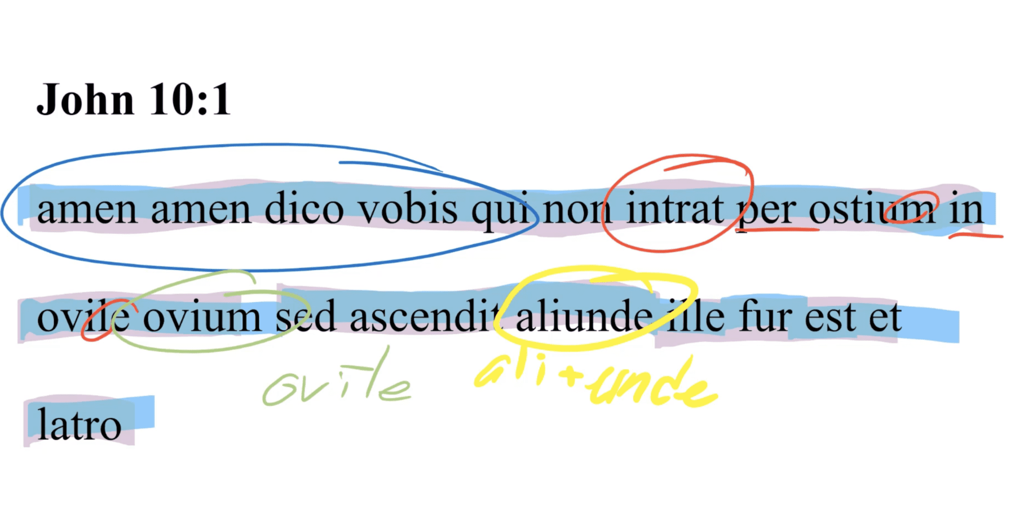John 10:1 Latin Vulgate