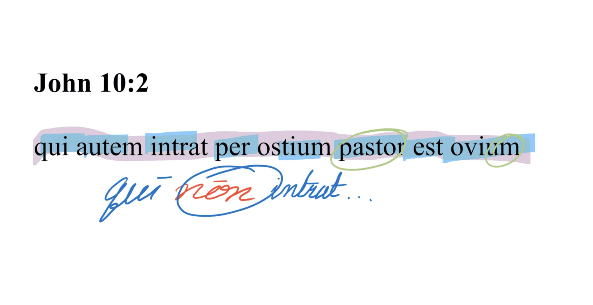 John 10:2 Latin Vulgate