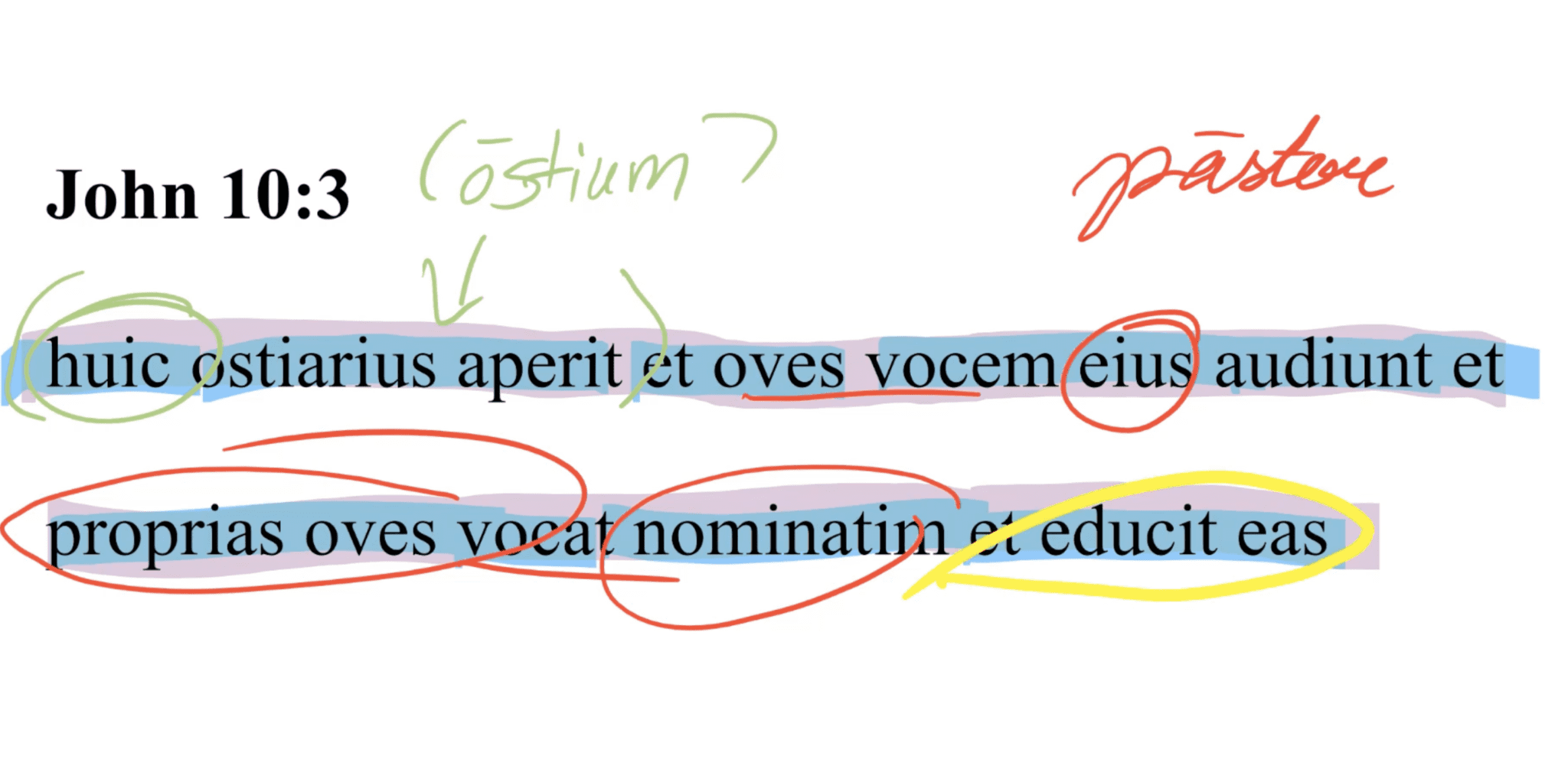 John 10:3 Latin Vulgate