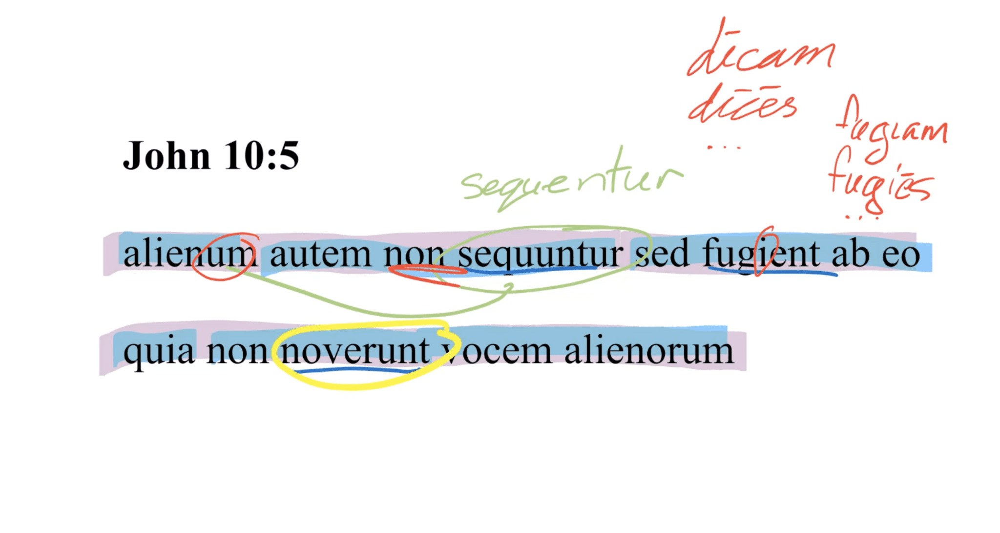 John 10:5 Latin Vulgate