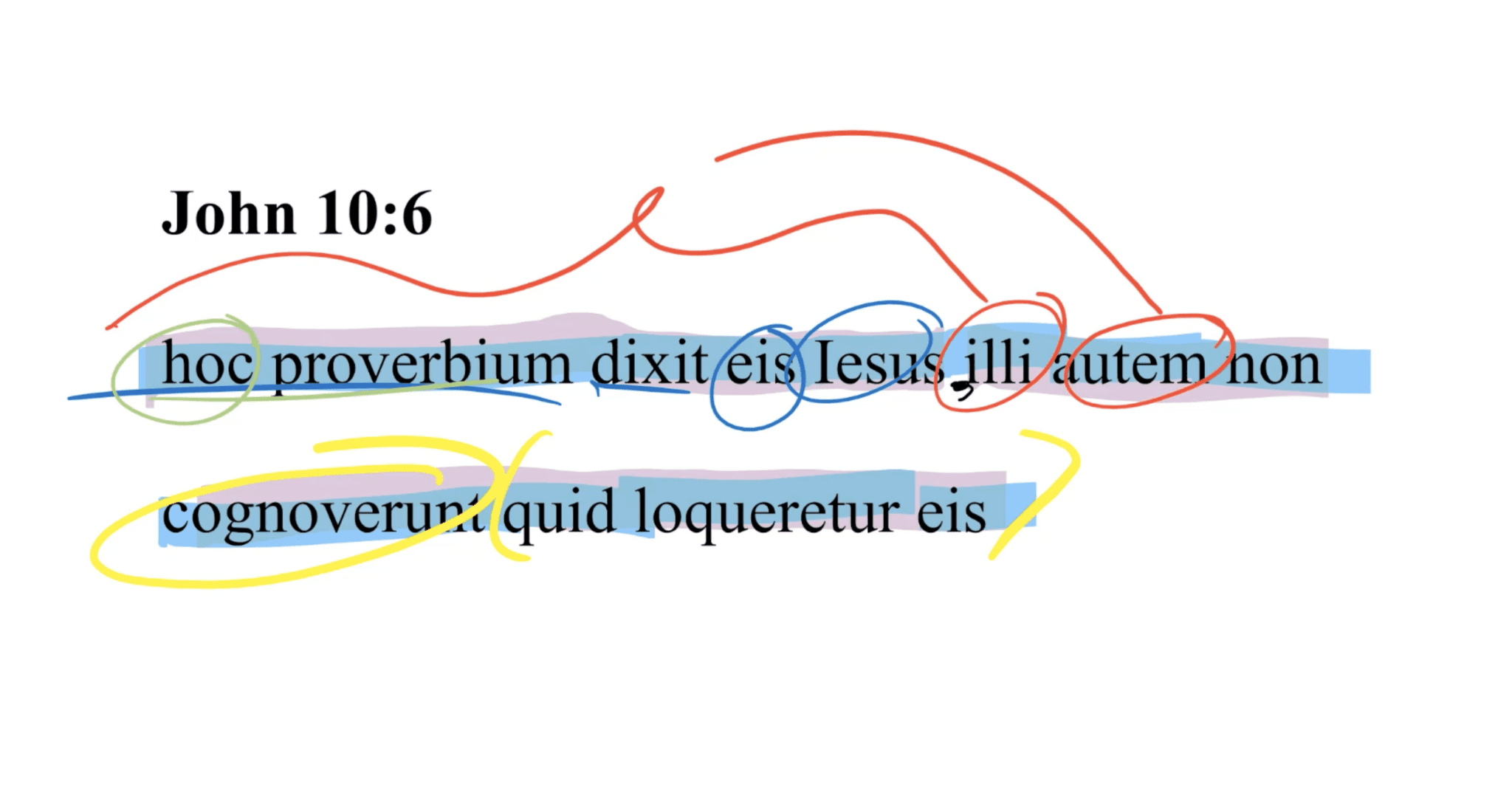 John 10:6 Latin Vulgate