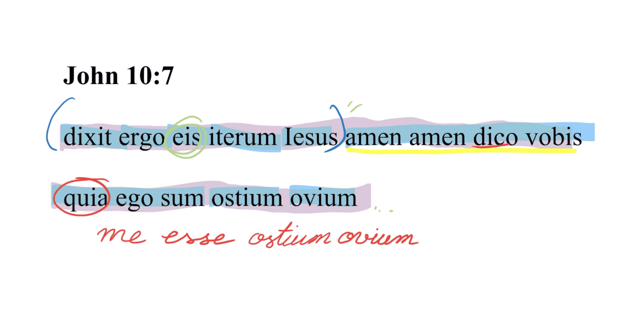 John 10:7 Latin Vulgate