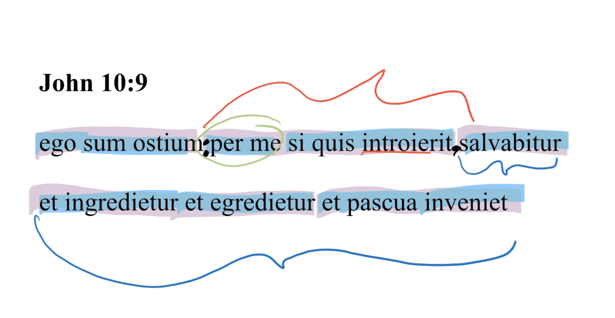 John 10:9 Latin Vulgate