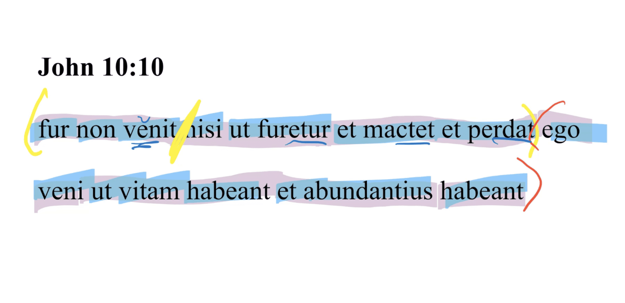 John 10:10 Latin Vulgate