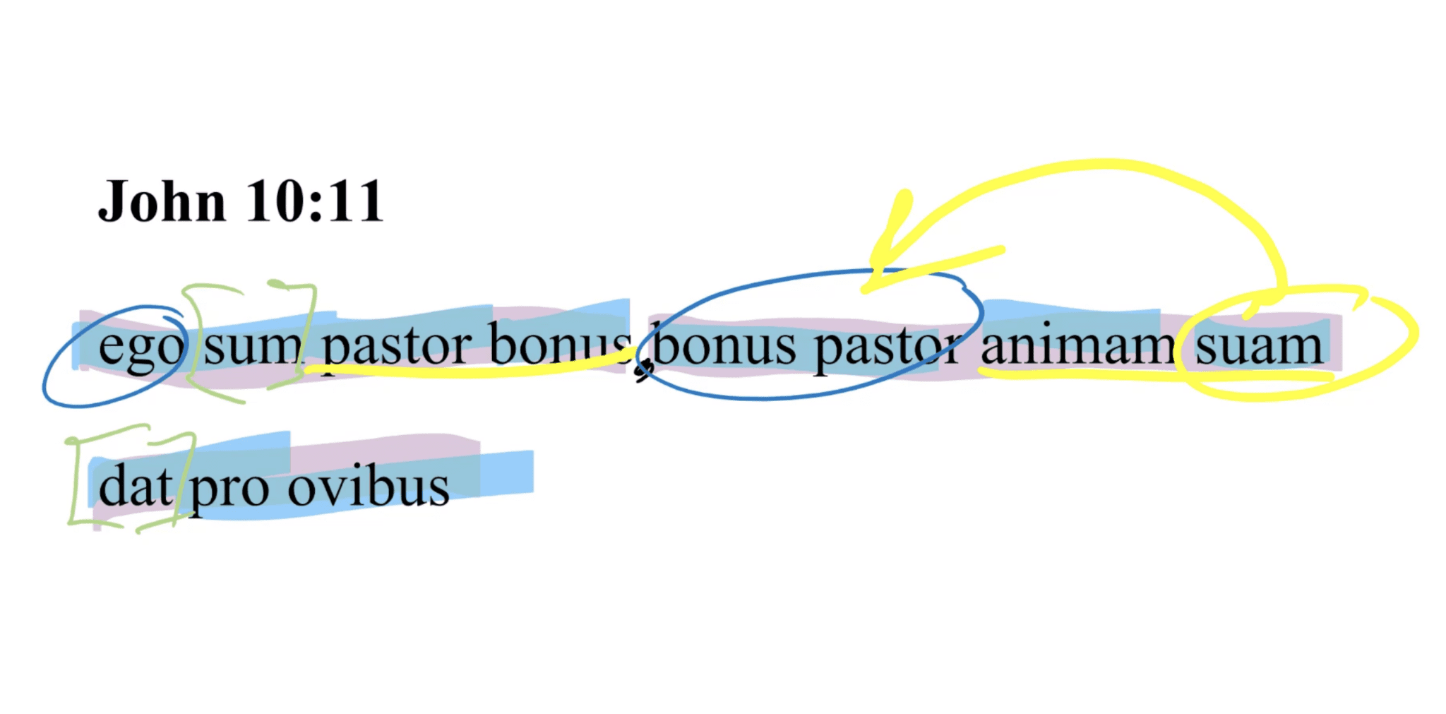 John 10:11 Latin Vulgate