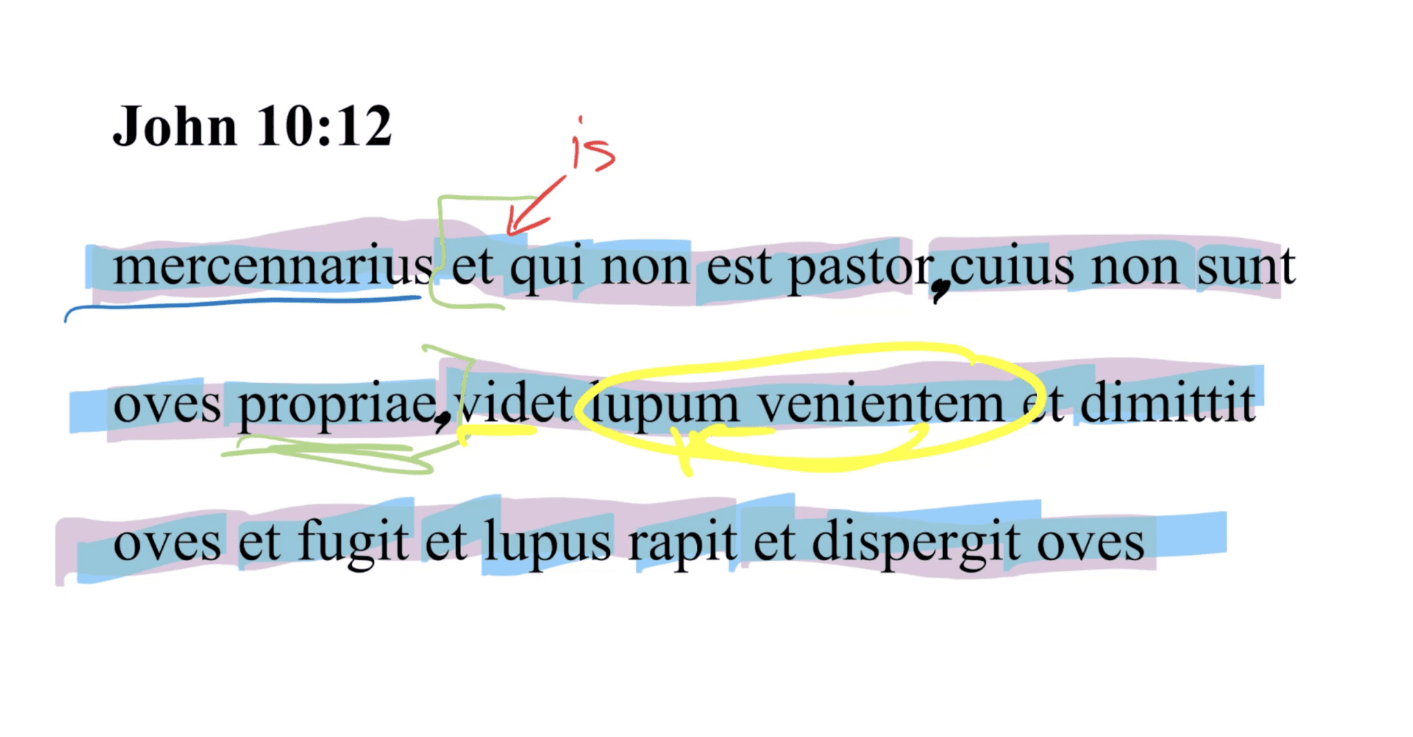 John 10:12 Latin Vulgate
