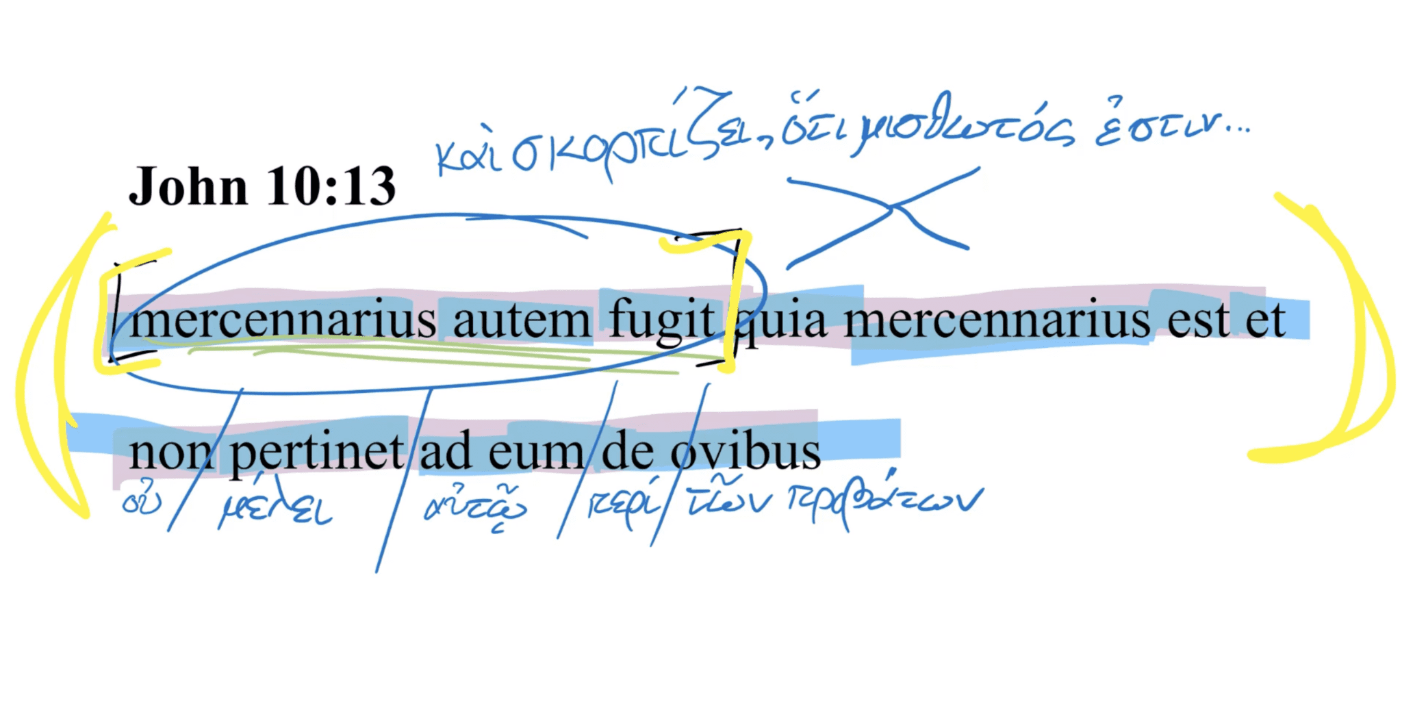 John 10:13 Latin Vulgate