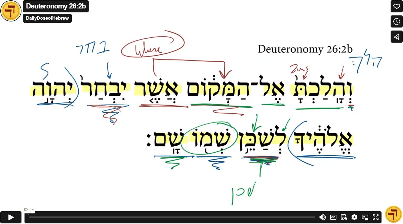 Deuteronomy 26:2b