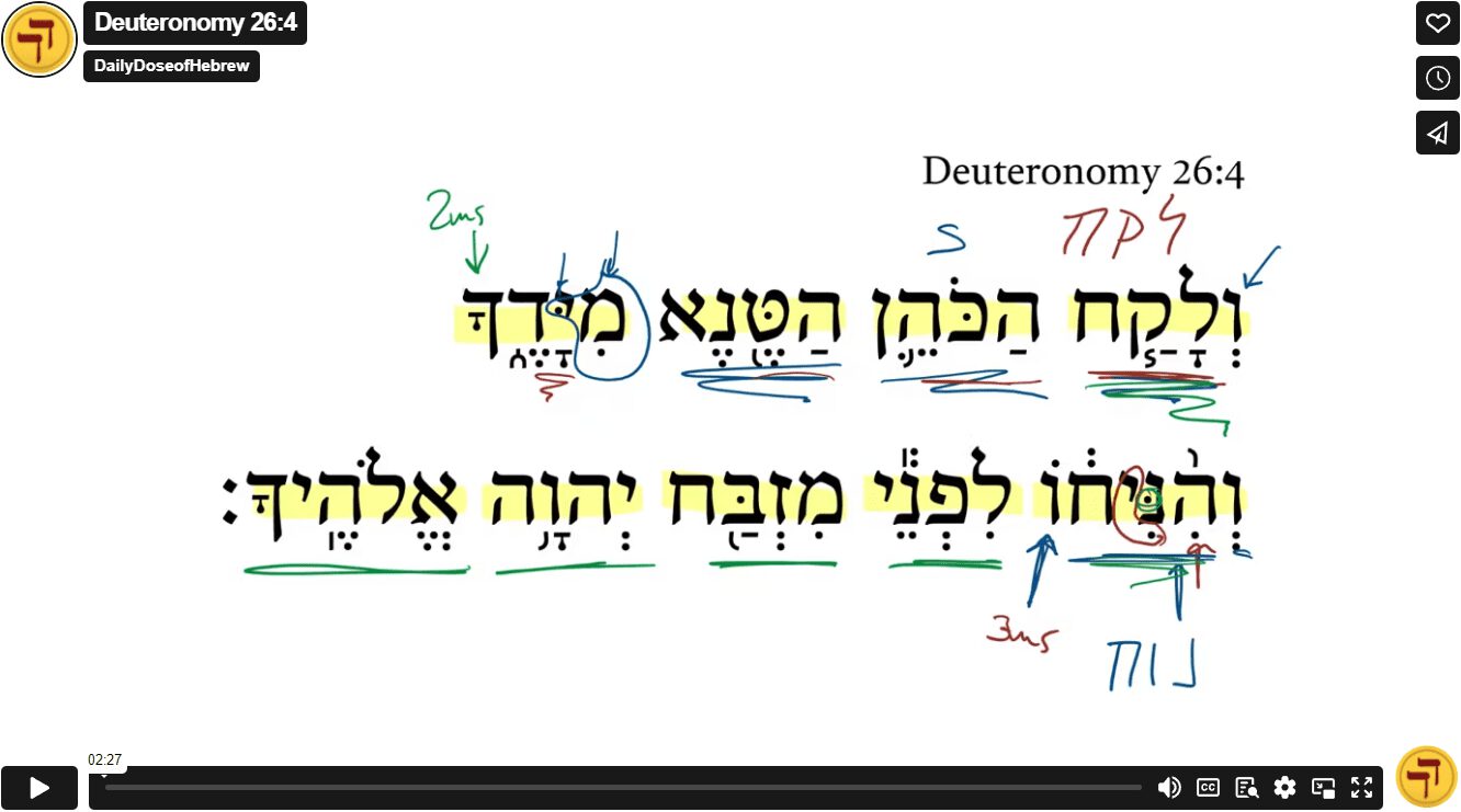 Deuteronomy 26:4
