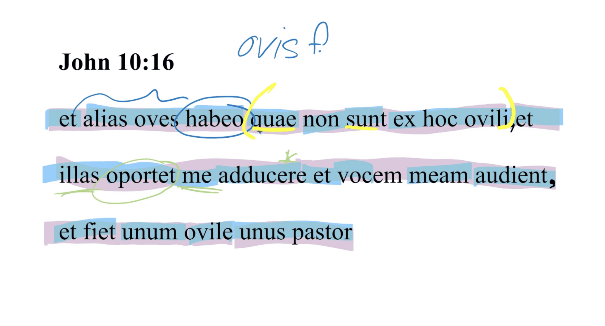 John 10:16 Latin Vulgate