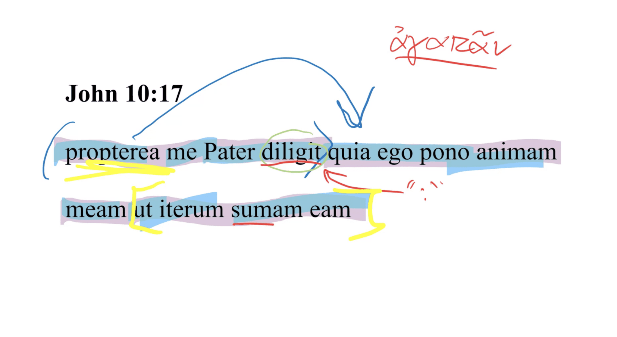 John 10:17 Latin Vulgate