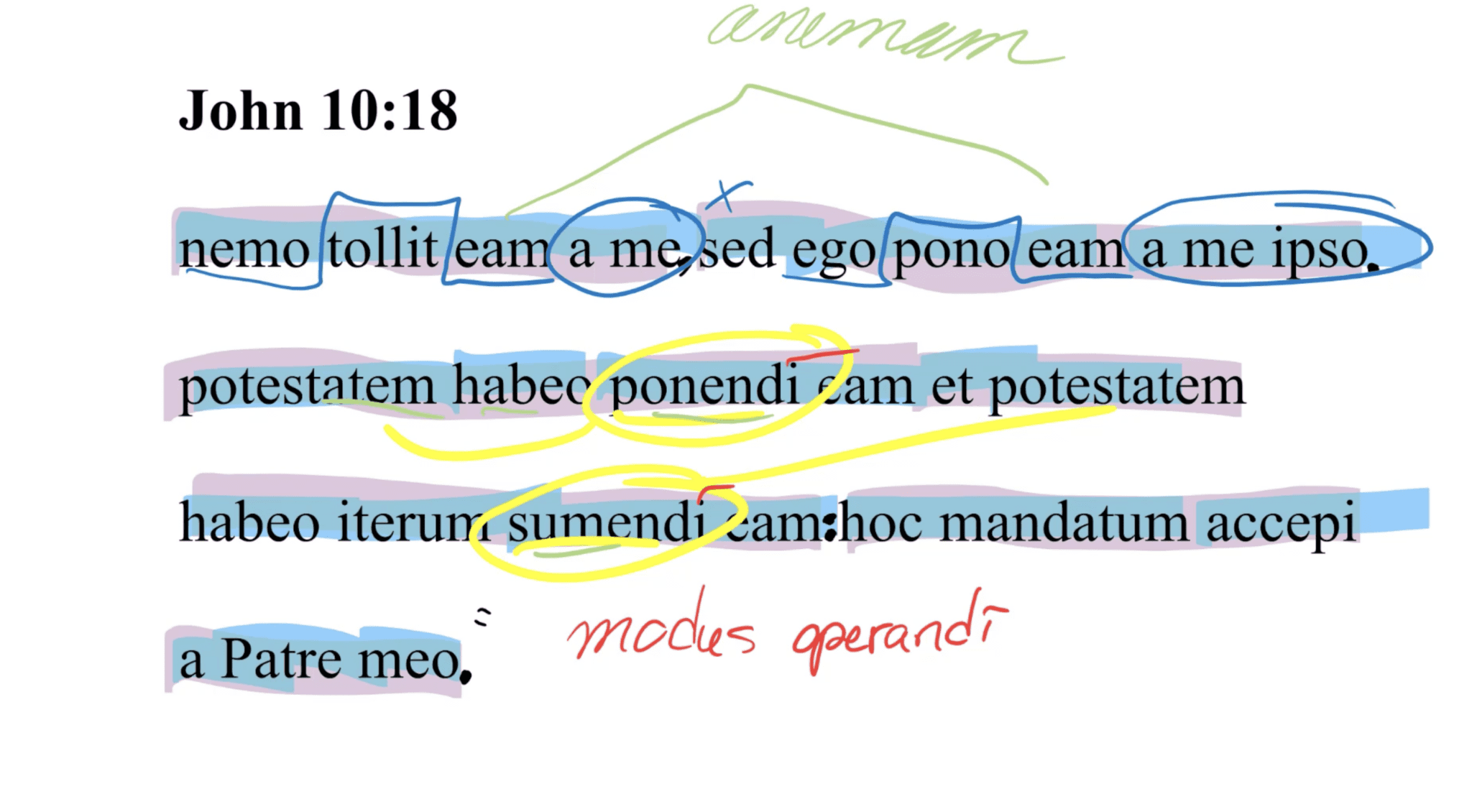John 10:18 Latin Vulgate