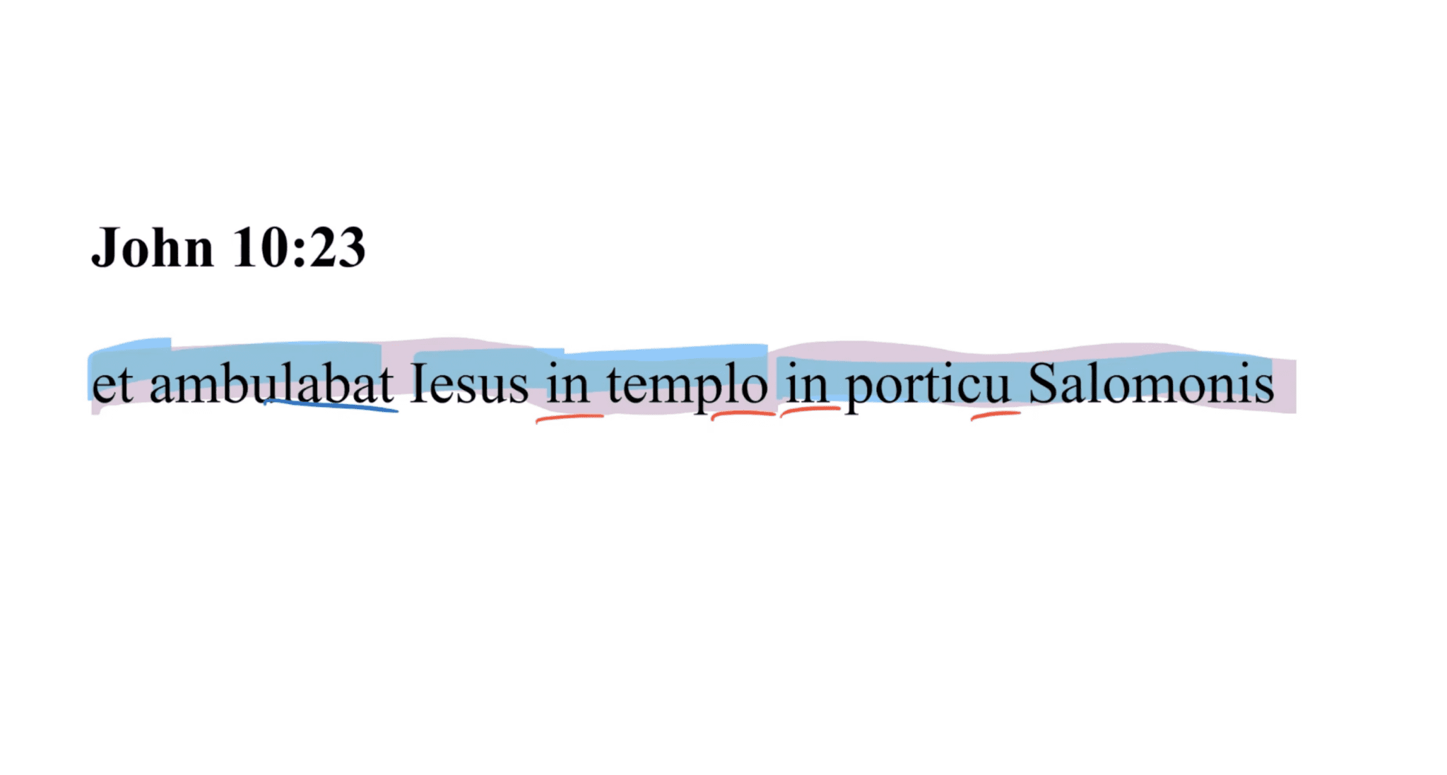 John 10:23 Latin Vulgate