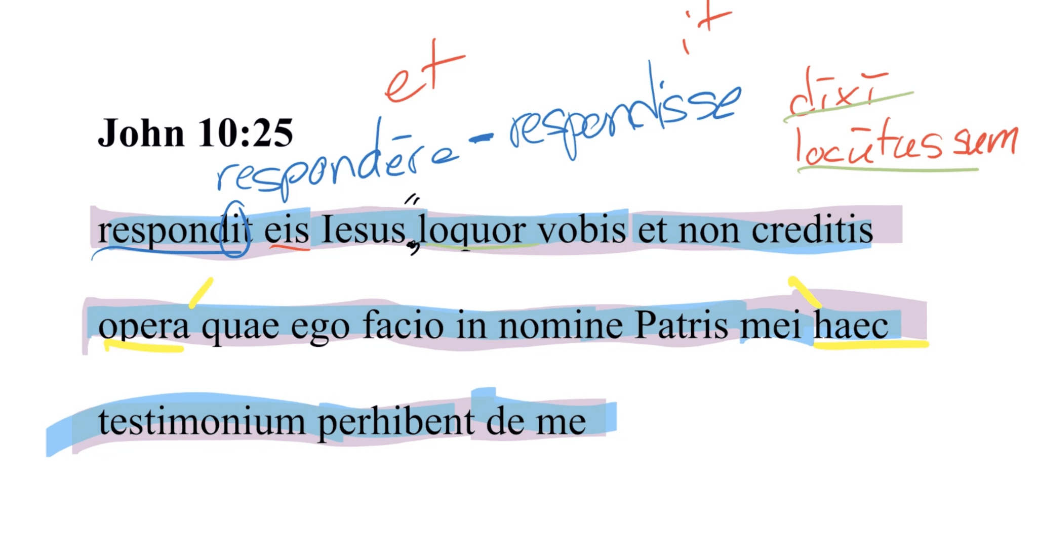 John 10:25 Latin Vulgate