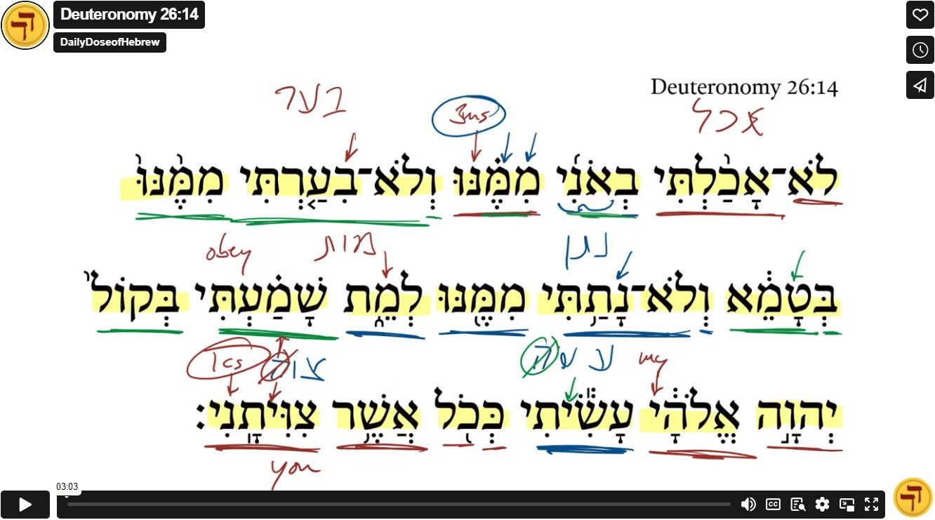 Deuteronomy 26:14