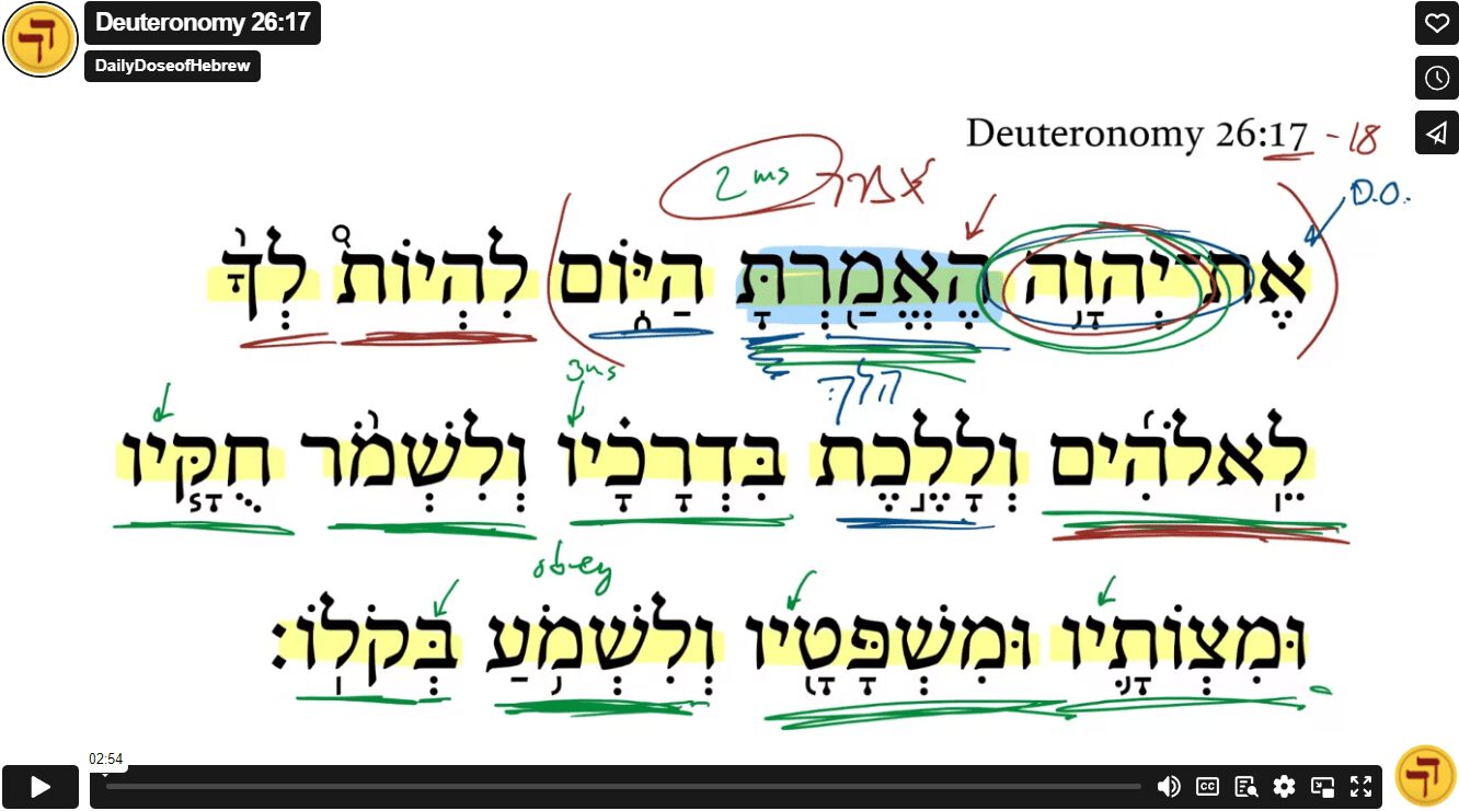 Deuteronomy 26:17