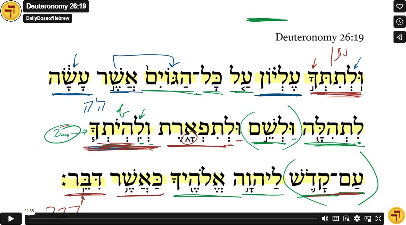 Deuteronomy 26:19